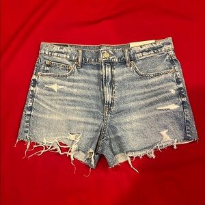 NWT American Eagle Outfitters Blue Jean Shorts Distressed Frayed Hem